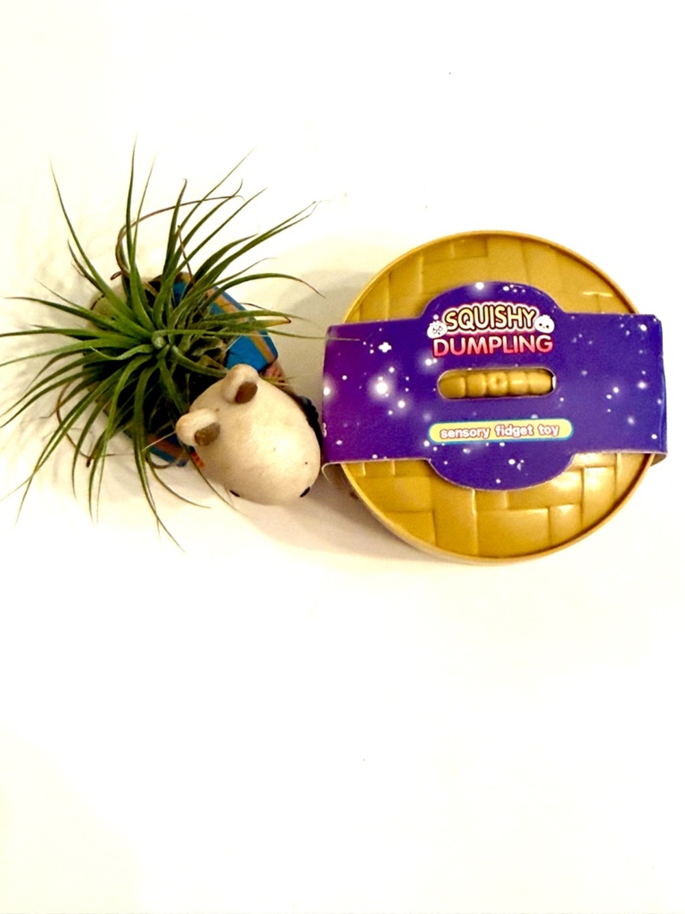 NWT, Squishy Dumpling (small)